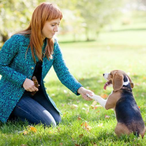 Animal Psychology